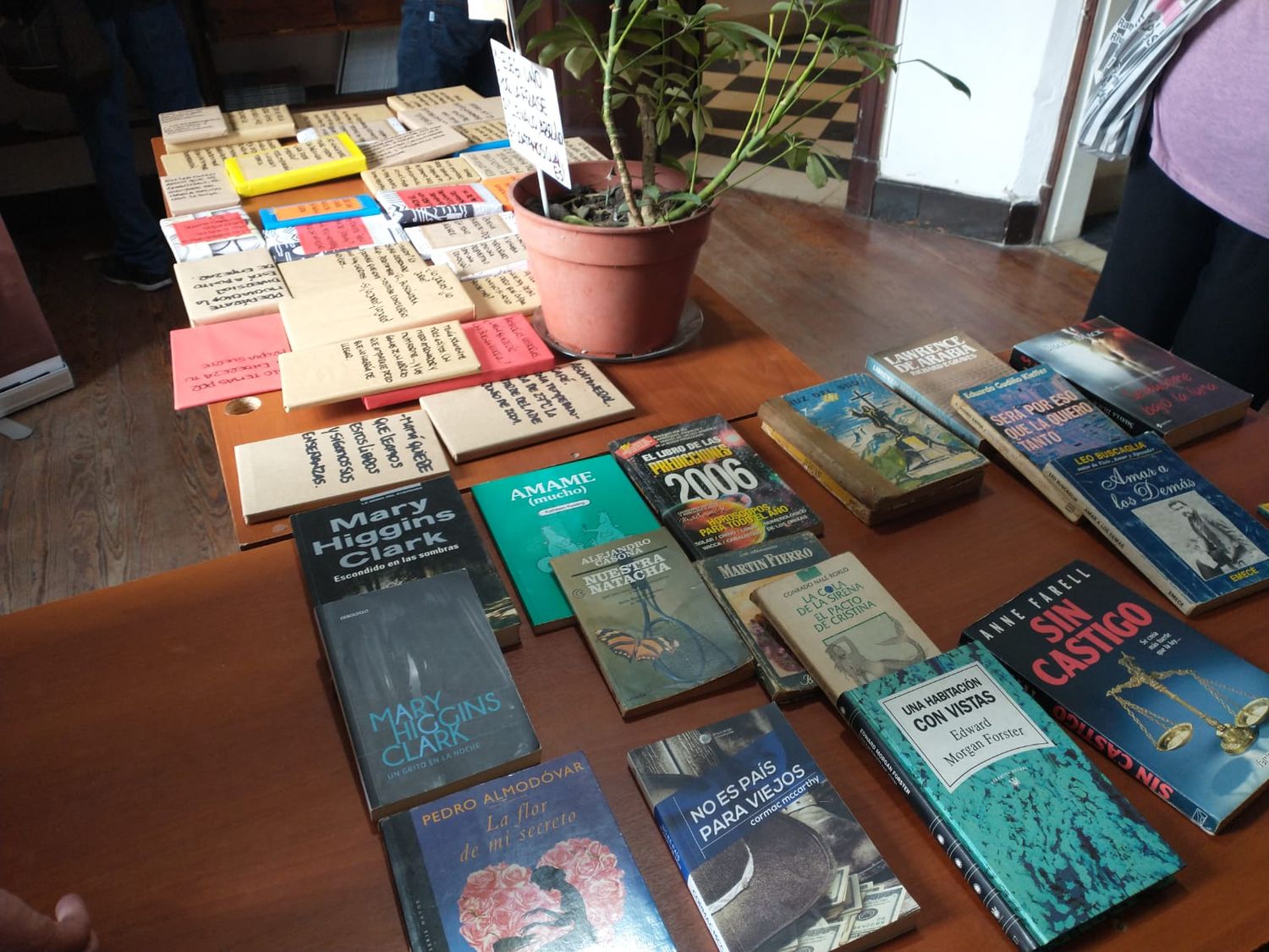 La Siembra de Libros vuelve a florecer en Mar del Plata