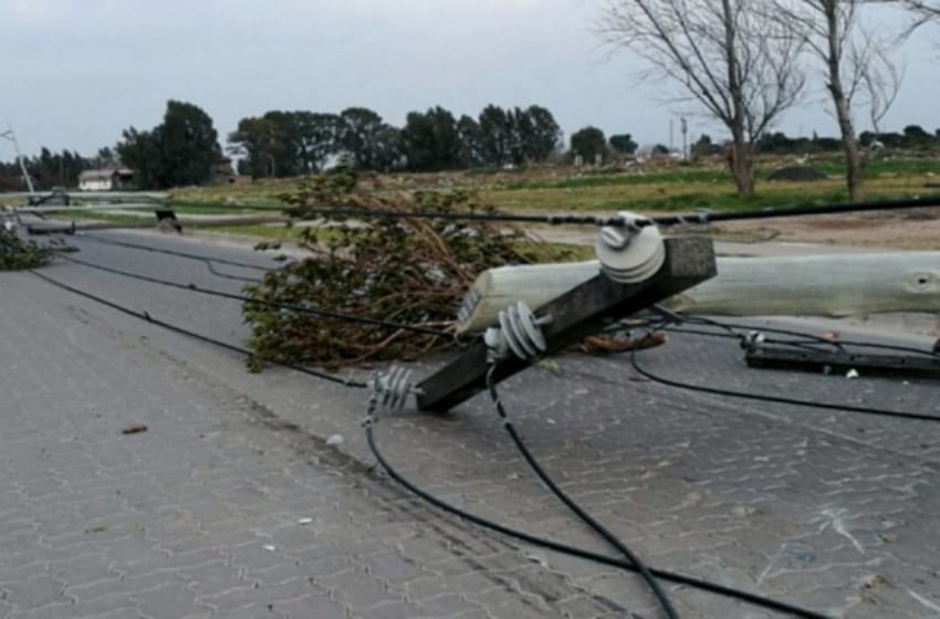 Caída de árboles, postes y voladura de carteles por temporal de viento en Bahía Blanca