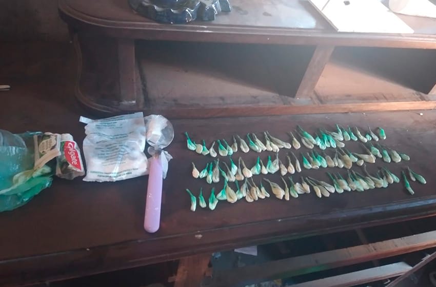Allanan vivienda y encuentran 101 envoltorios de cocaína y plantas de marihuana