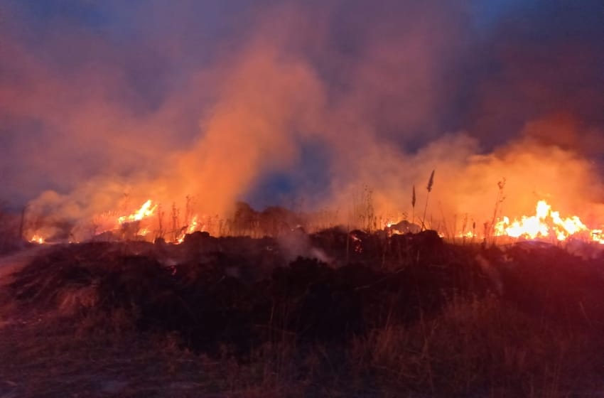 Incendio en el sur de Mar del Plata: bomberos debieron intervenir en dos ocasiones