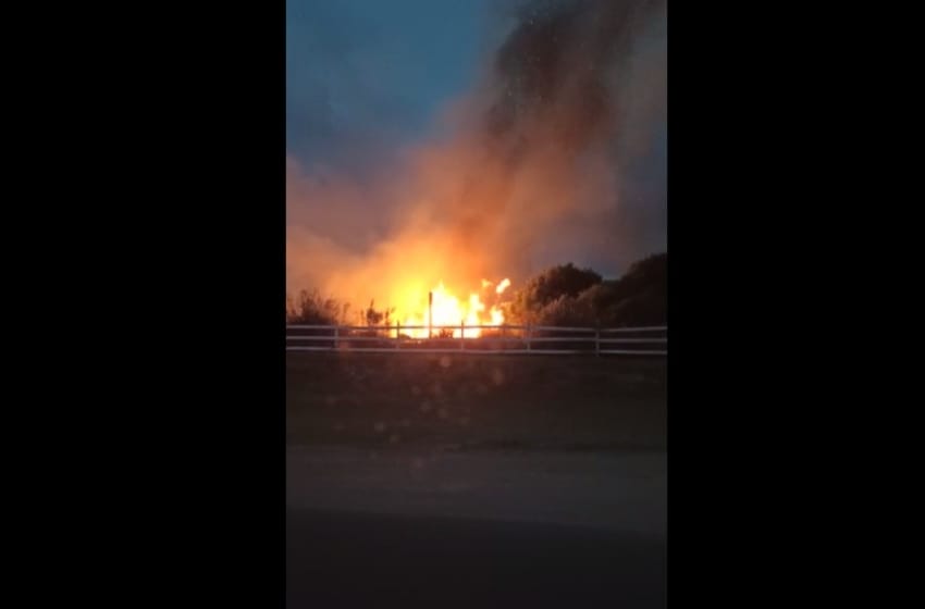 Video: feroz incendio en el sur de Mar del Plata