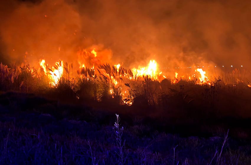 Los incendios en Corrientes fueron controlados, informó el Ministerio de Ambiente