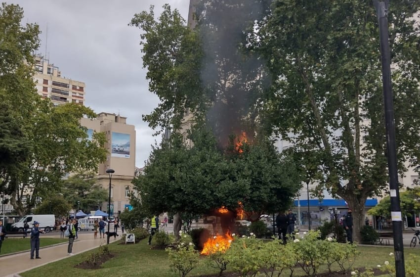 Alarma en el centro por el incendio de un árbol en la plaza de la Catedral
