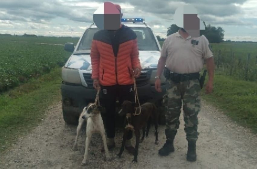 Caza Furtiva con perros galgos en el camino viejo a Miramar