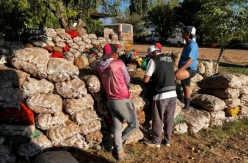 La AFIP detectó explotación laboral en campos de San Luis y Córdoba