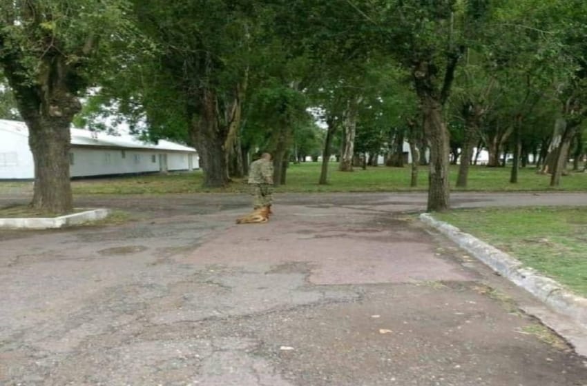 Olavarría: un militar arrastró y golpeó a un perro abandonado hasta matarlo y los vecinos piden justicia