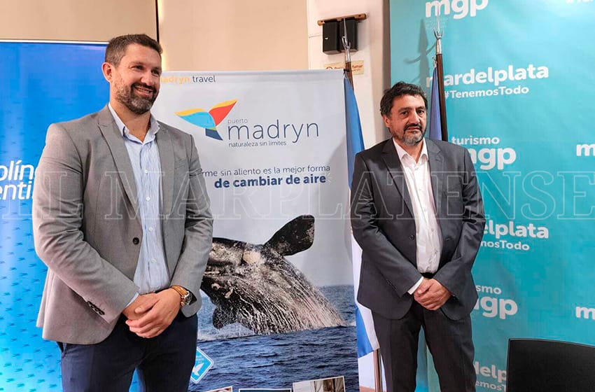 Puerto Madryn: un destino atractivo con vuelo directo desde Mar del Plata