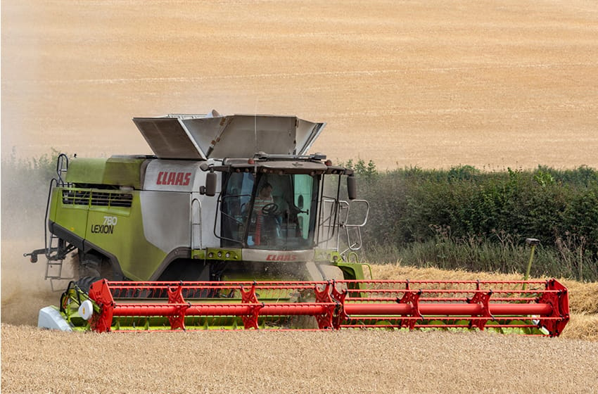 Por la sequía, en el campo advierten que puede faltar trigo para exportar