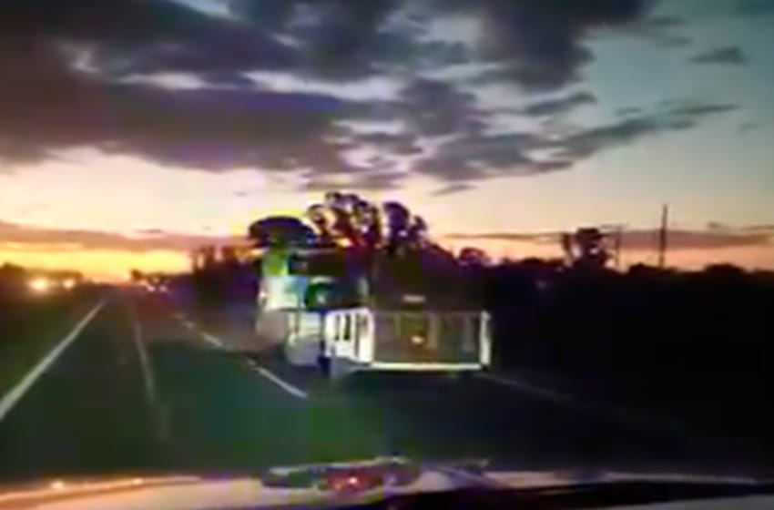 El video del móvil de Tránsito sin luz por la ruta despierta malestar en los marplatenses