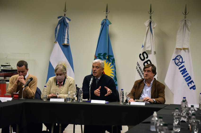 Domínguez en Mar del Plata: "Todos los alimentos que Argentina produzca tienen donde ser colocados"