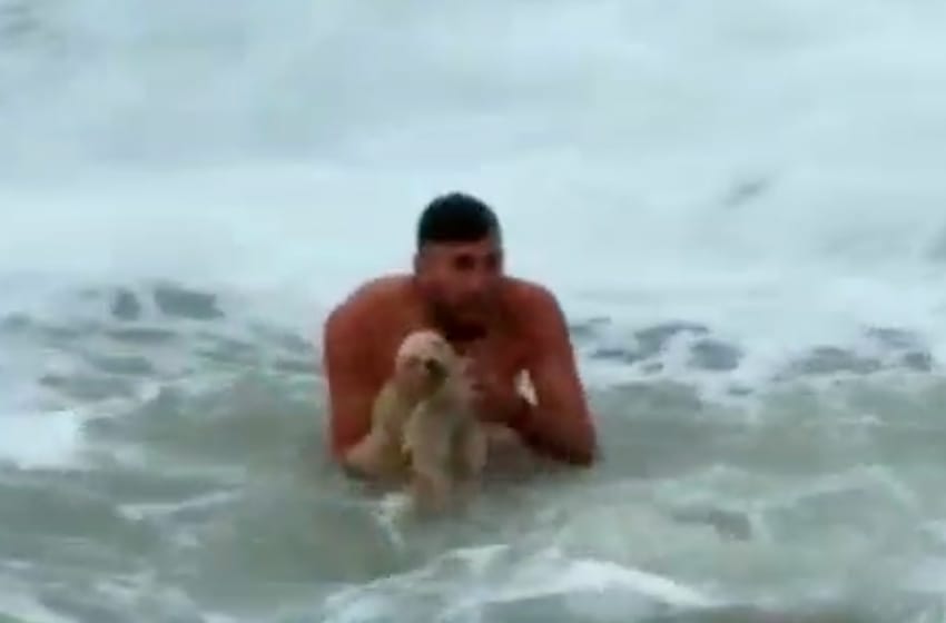 Video: dramático rescate de un perro que se había caído al mar