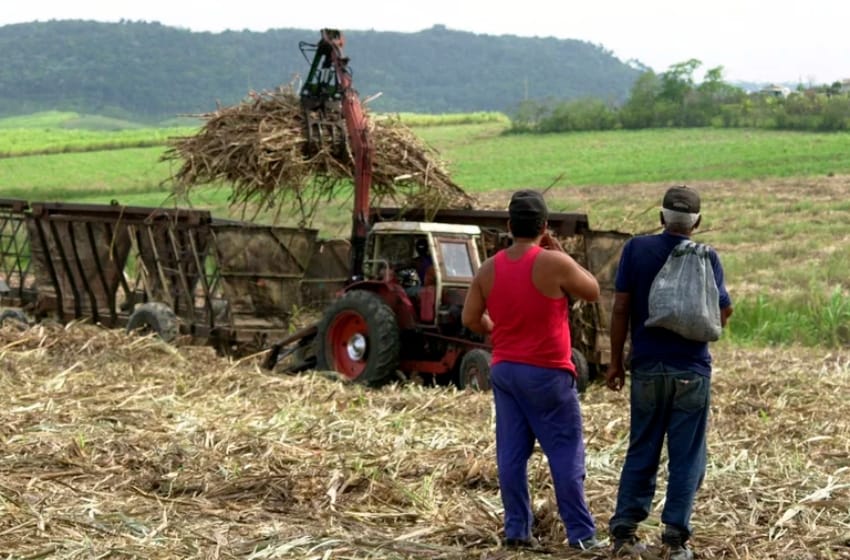 Crisis en Cuba: se profundizan los cortes de luz y la cosecha de azúcar fue la mitad de la esperada