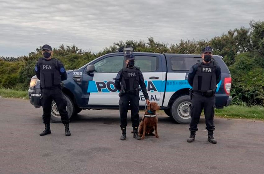 Con un can, la policía federal desarrolla operativos en Olavarria