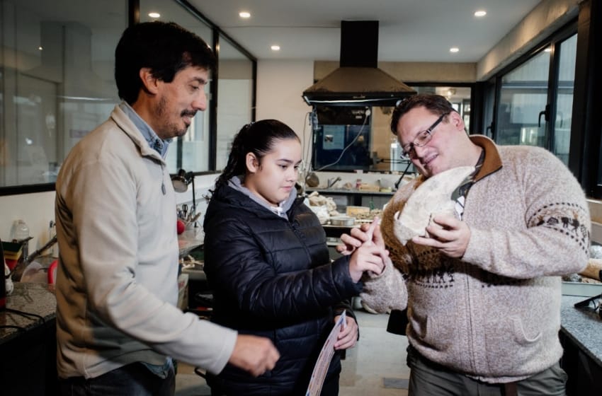 Una adolescente encontró otro fósil, el cual ya está en el Museo de Ciencias Naturales Lorenzo Scaglia