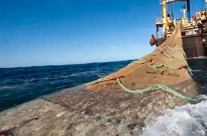 La Justicia ratificó el fallo que prohíbe la pesca de arrastre frente a la costa bonaerense