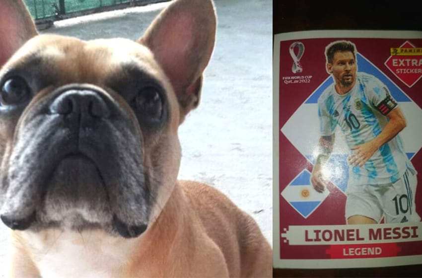 Un nene de siete años ofrece la figurita de Messi como recompensa para recuperar al perro de su amiga