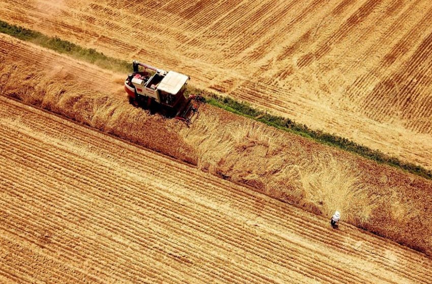 El Gobierno prorrogó por 360 días las exportaciones de trigo por la sequía