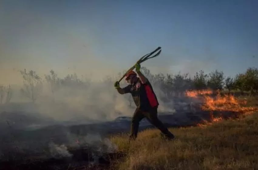 Incendios forestales: "La gente tomó consciencia y bajamos las intervenciones"