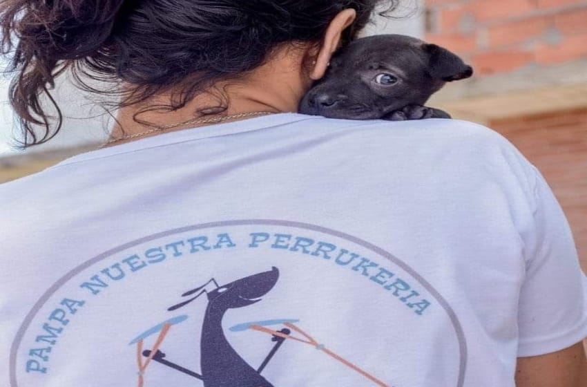 Pampa Nuestra: un hogar de tránsito y recuperación para animales callejeros