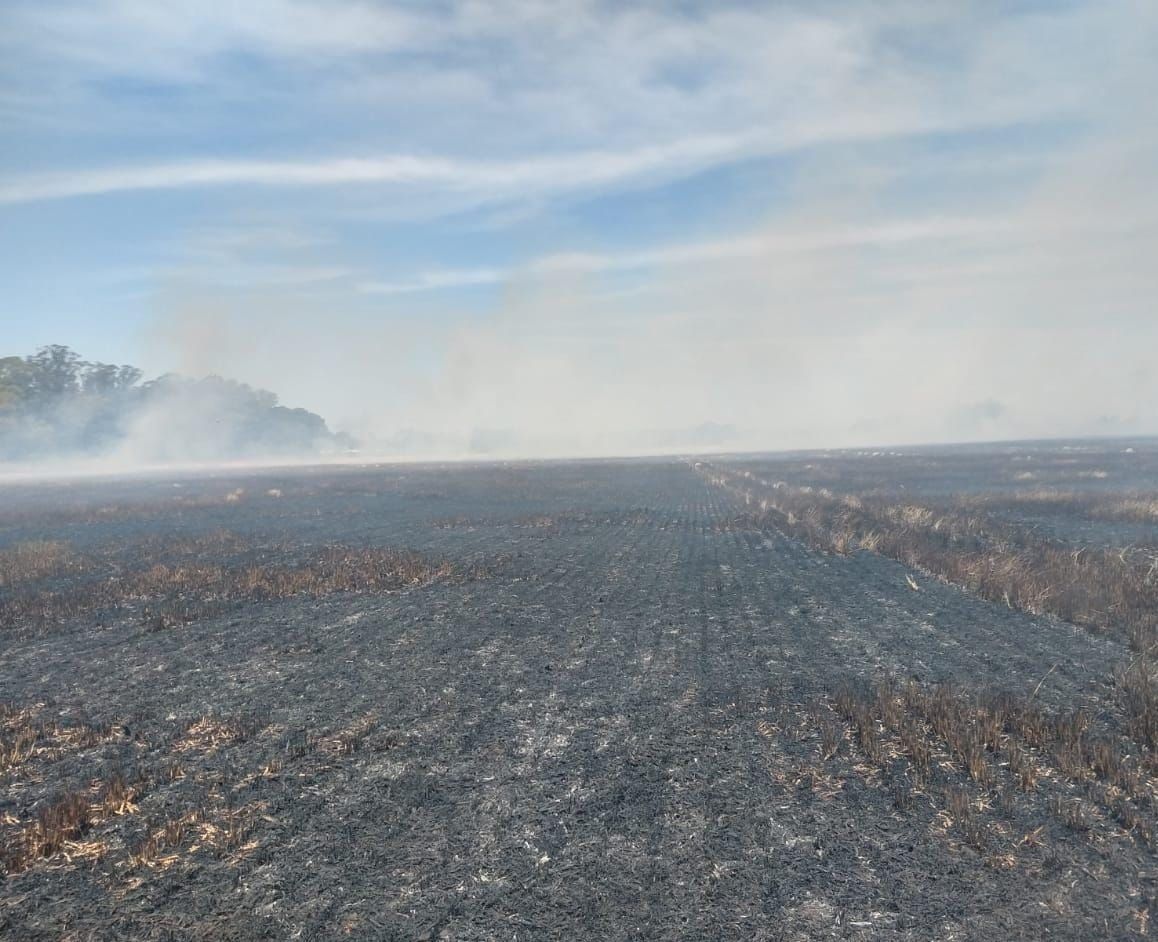 Incendio en un campo de la ciudad afectó 24 hectáreas