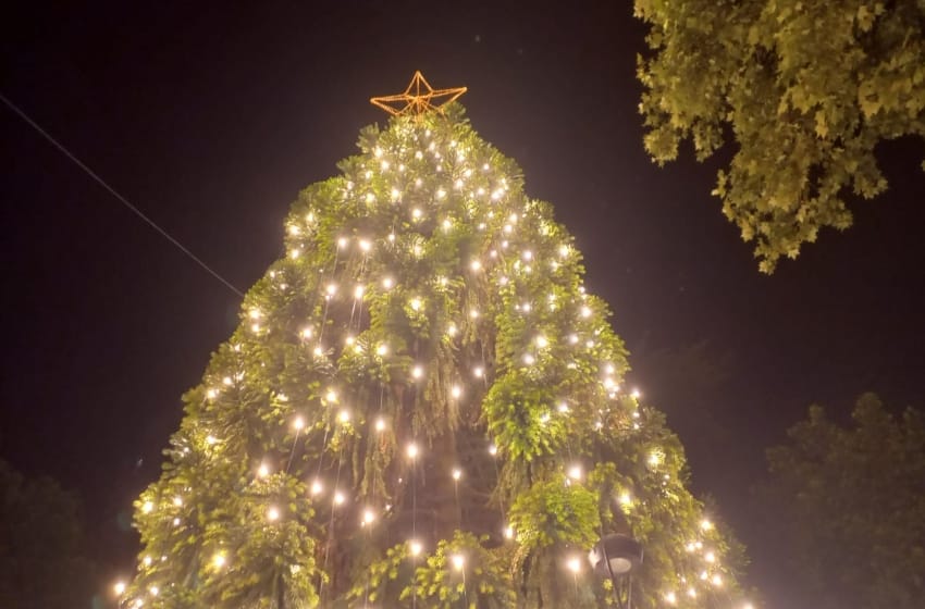 Mar del Plata encendió su árbol de Navidad