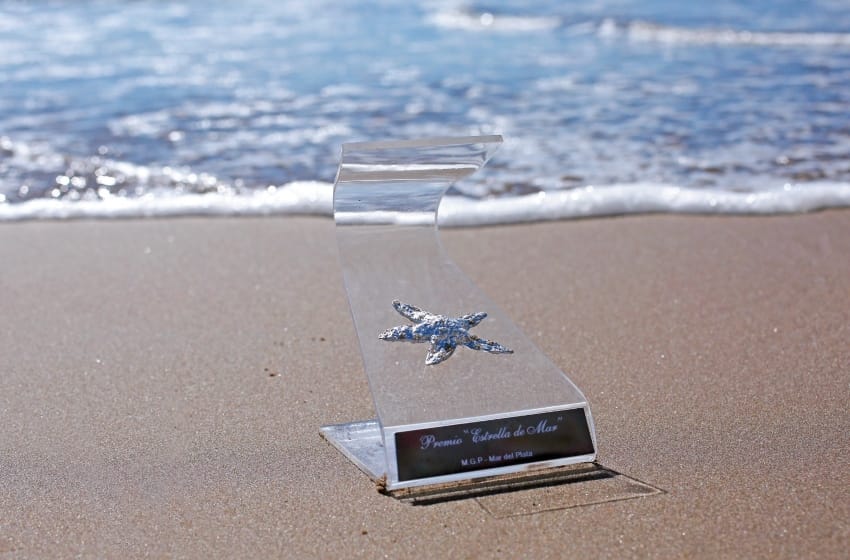 Premios Estrella de Mar 2023: conocé todos los nominados