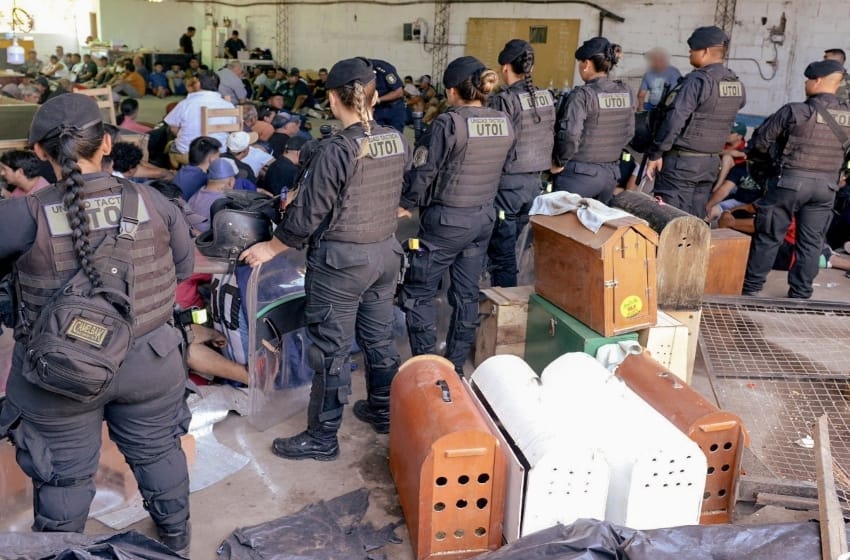 130 imputados tras un allanamiento por riña de gallos en El Boqueron
