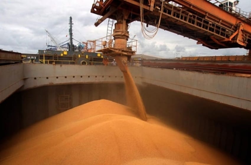 La Aduana secuestró granos y agroquímicos valuados en más de 28 millones de pesos