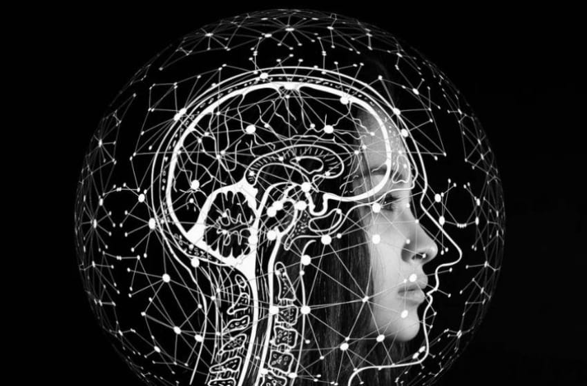 Inteligencia artificial: "La consciencia es un rasgo de los humanos, no de las máquinas"