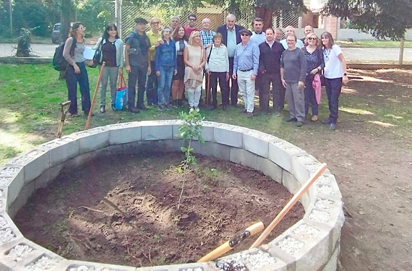 El Centro Vasco marplatense plantó dos ejemplares del árbol de Gernika en conmemoración de su aniversario