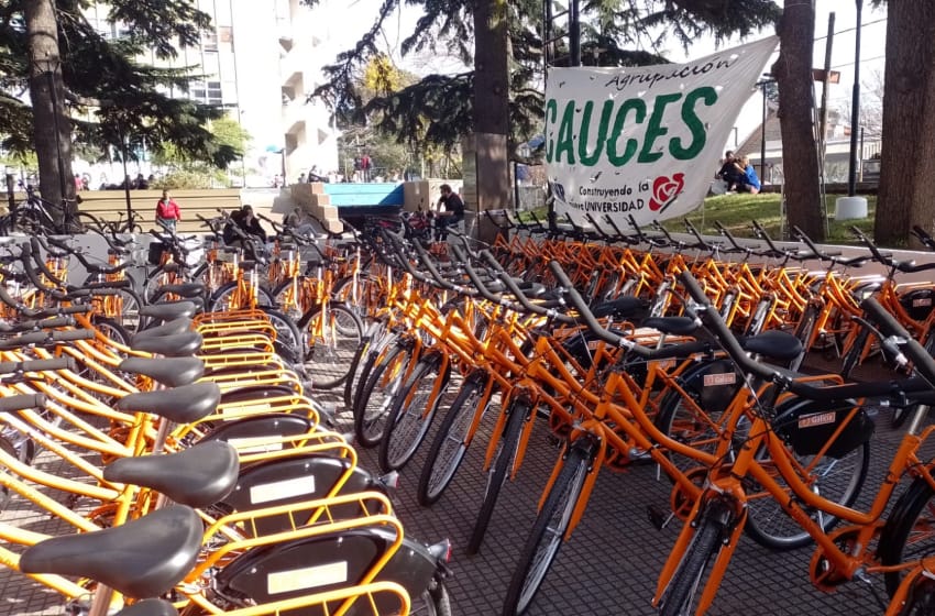 La UNMdP entregó bicicletas a 300 estudiantes: "Es un momento histórico"