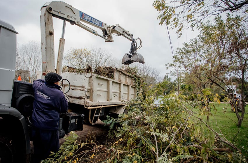 Limpiaron microbasurales en el sur de Mar del Plata: retiraron más de 200 toneladas de residuos