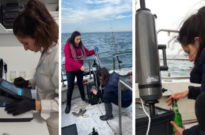Investigadoras de Mar del Plata participan en importante reporte internacional sobre la acidificación oceánica