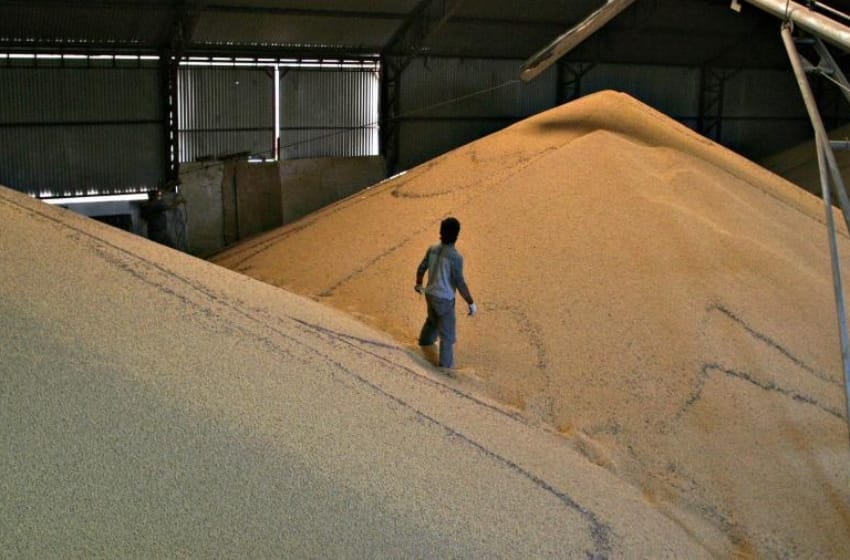 La facturación por las exportaciones de soja y maíz rondaría los US$ 28.700 millones