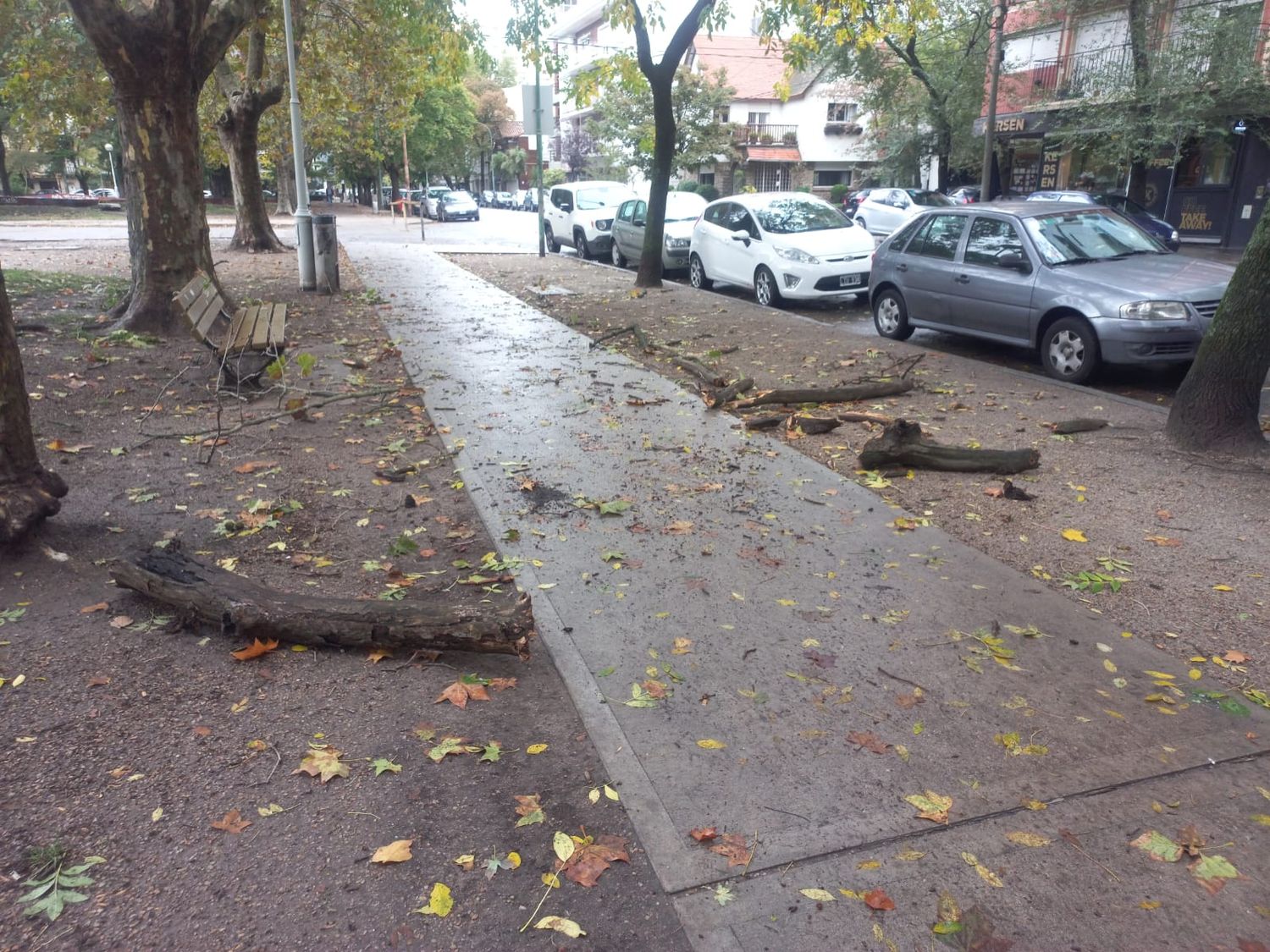 Consecuencias del temporal en Mar del Plata.