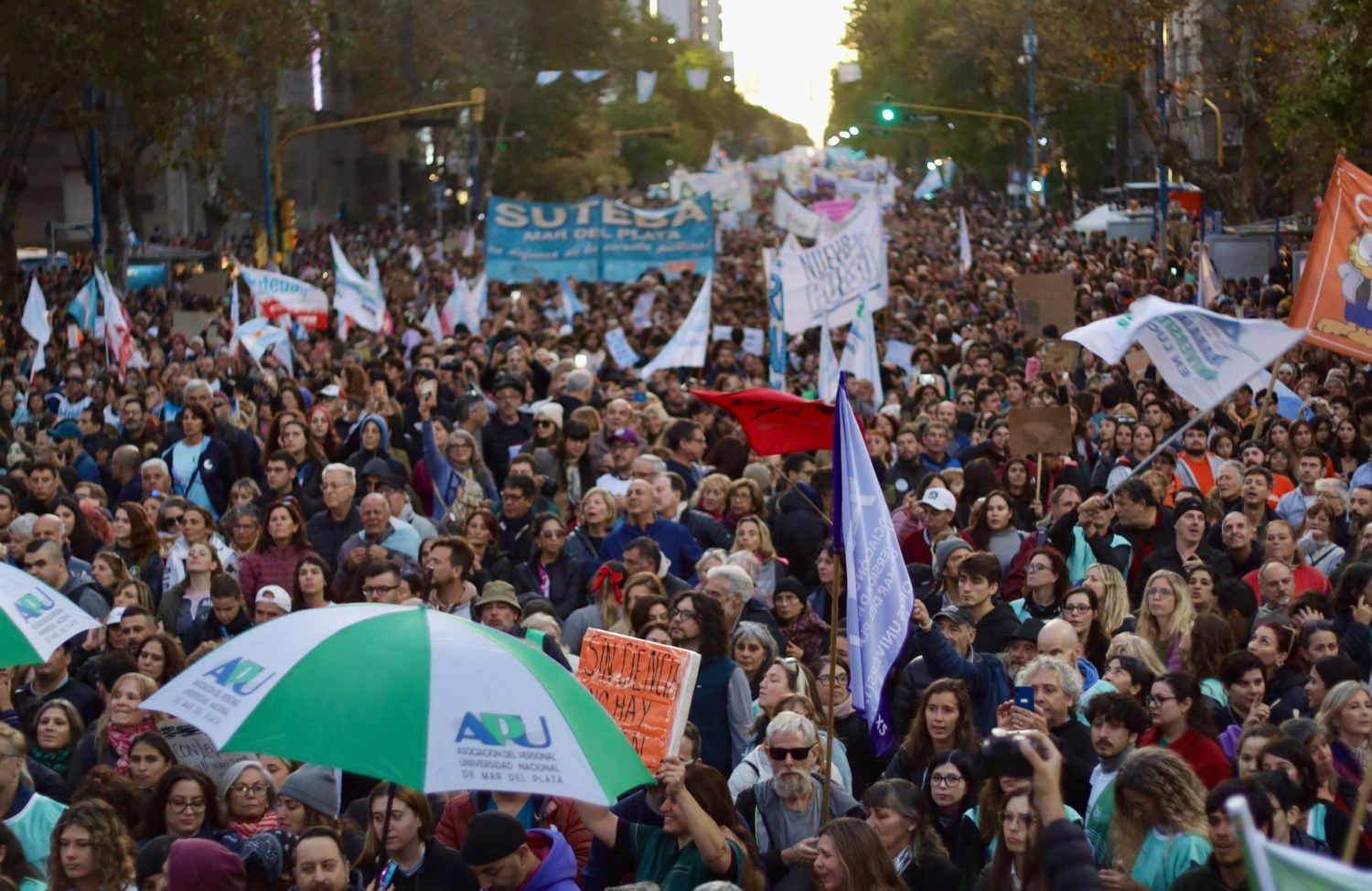 La marcha federal universitaria que se llevó a cabo el 23 de abril en Mar del Plata.