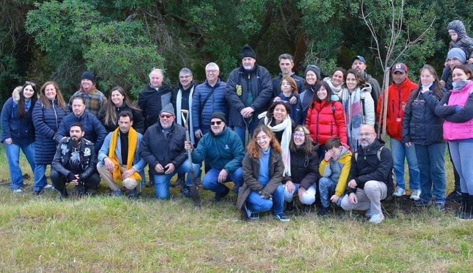La comunidad que integra la Universidad Nacional de Mar del Plata plantaron 100 árboles