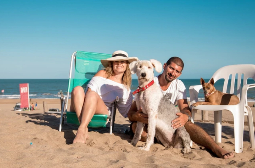 Las mascotas también disfrutan de la temporada de playa en la ciudad