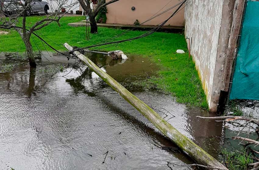 caida-arboles-temporal-(3)