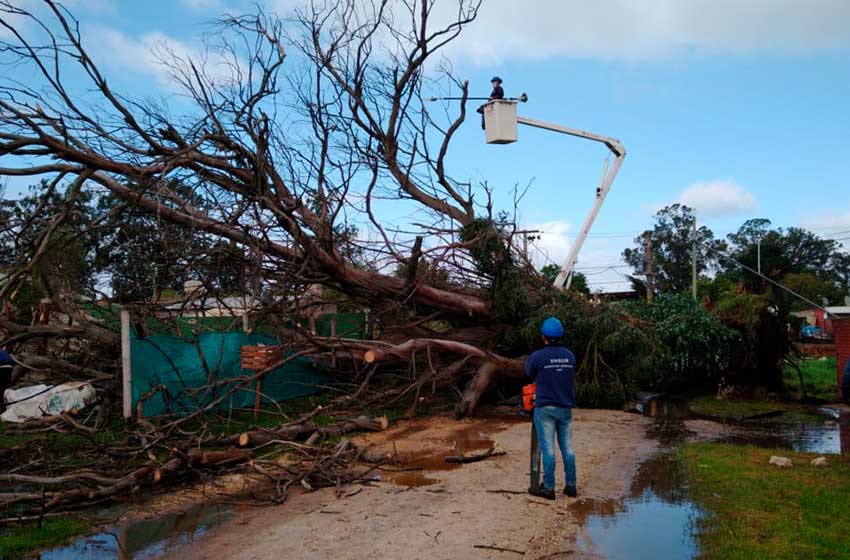 caida-arboles-temporal-(5)