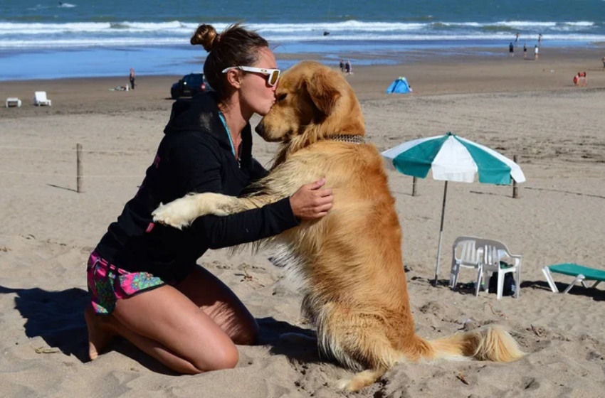 Mar del Plata es la ciudad argentina con mayor cantidad de perros