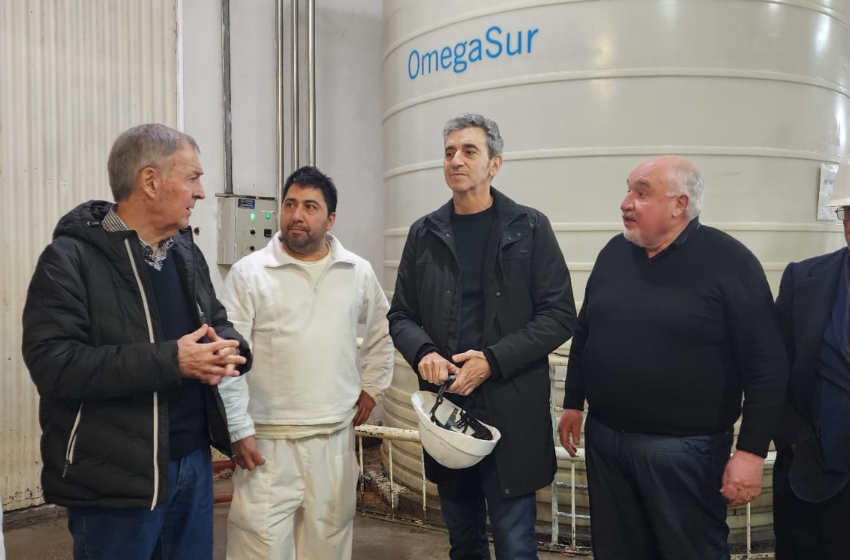 schiaretti y randazzo 1