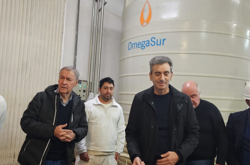 schiaretti y randazzo 3