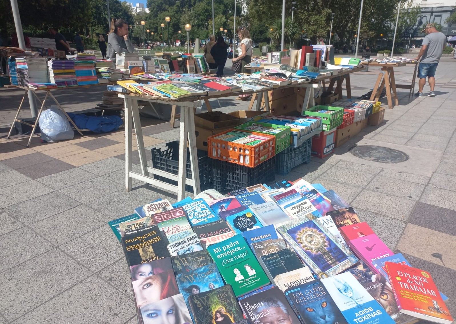 Used Book Fair in Peatonal San Martín and Miter Offers Affordable Solution for Parents During Inflation and Recession