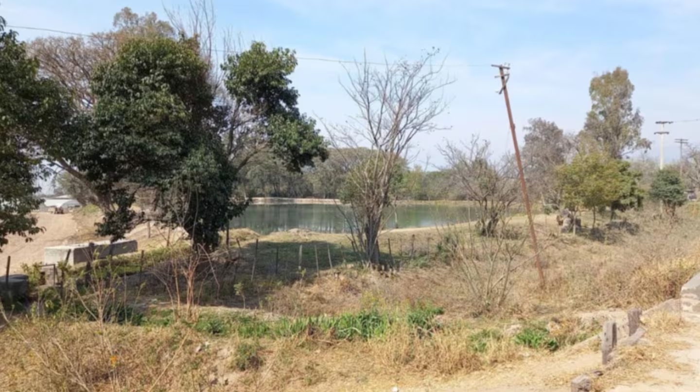 Una nena fue atacada por cuatro perros mientras merendaba con un grupo de amigos en un parque de Salta