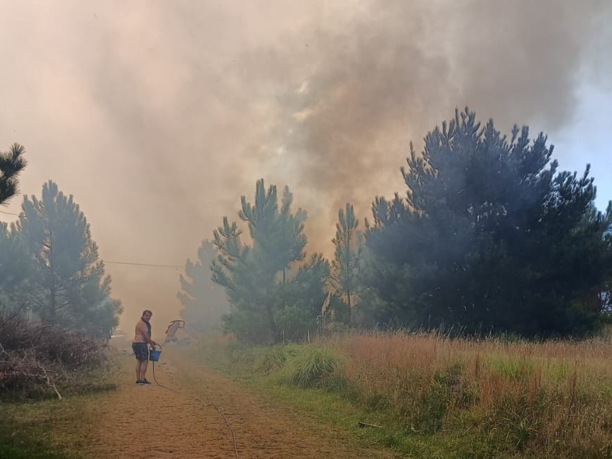 Incendios forestales en Mar del Plata y Formosa